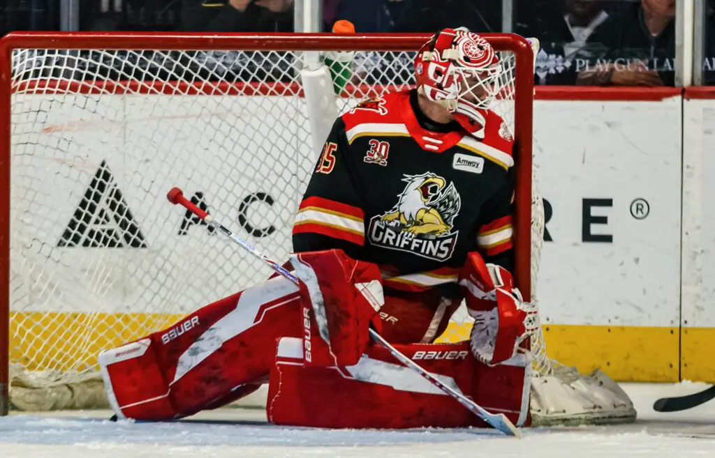 Michal Postava (Nicolas Carrillo/Grand Rapids Griffins)