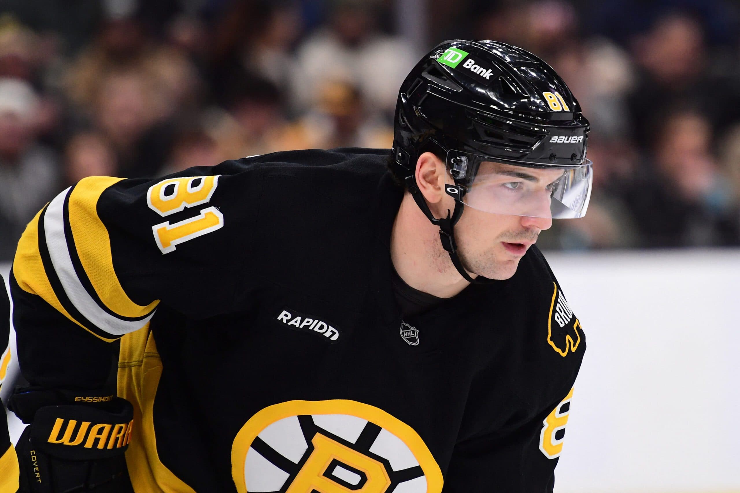 Boston Bruins center Michael Eyssimont (81) gets set for a face-off during the second period against the St. Louis Blues at TD Garden.