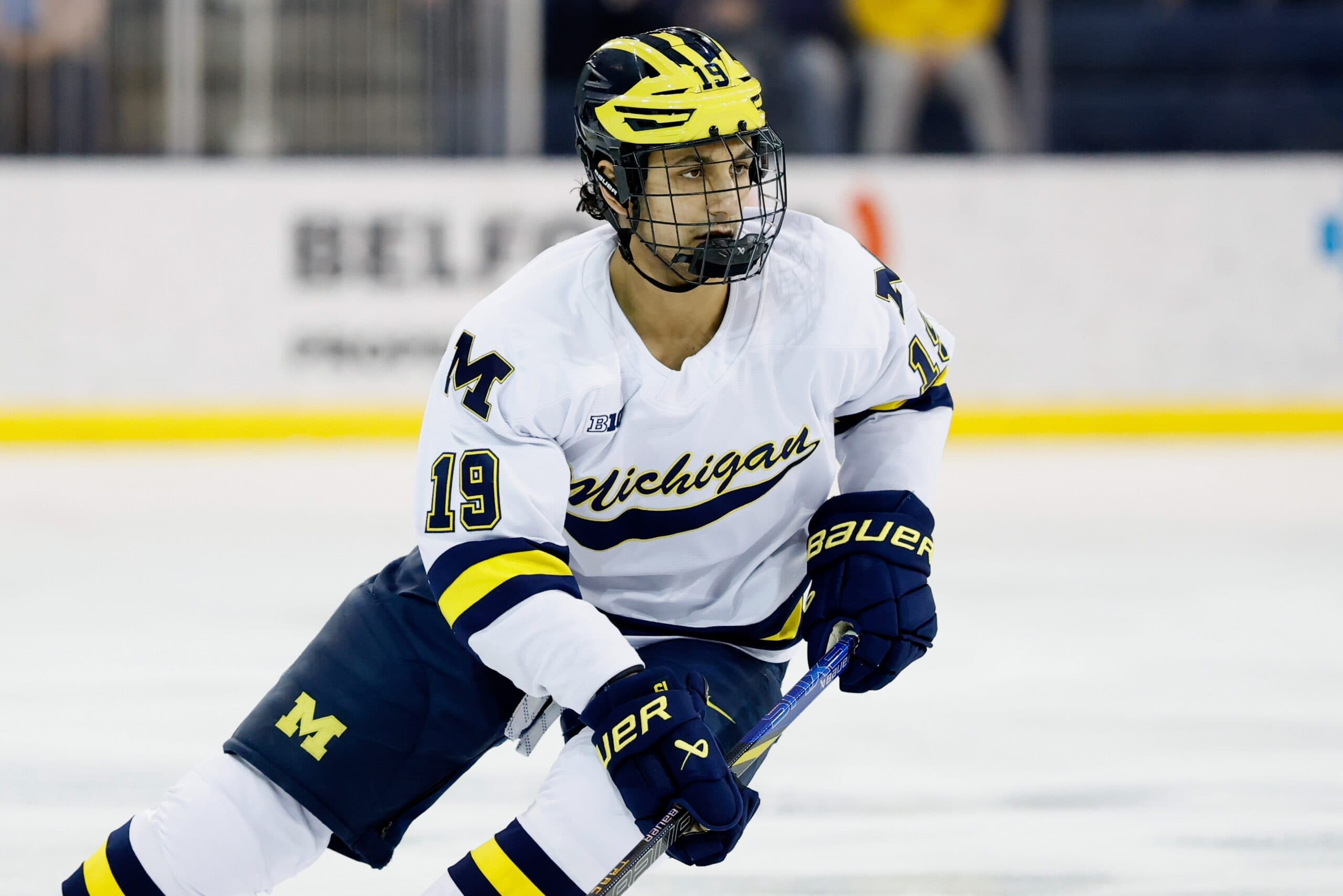 NHL Prospect Roundup: Hage, Wyttenbach highlight early standouts from the NCAA
