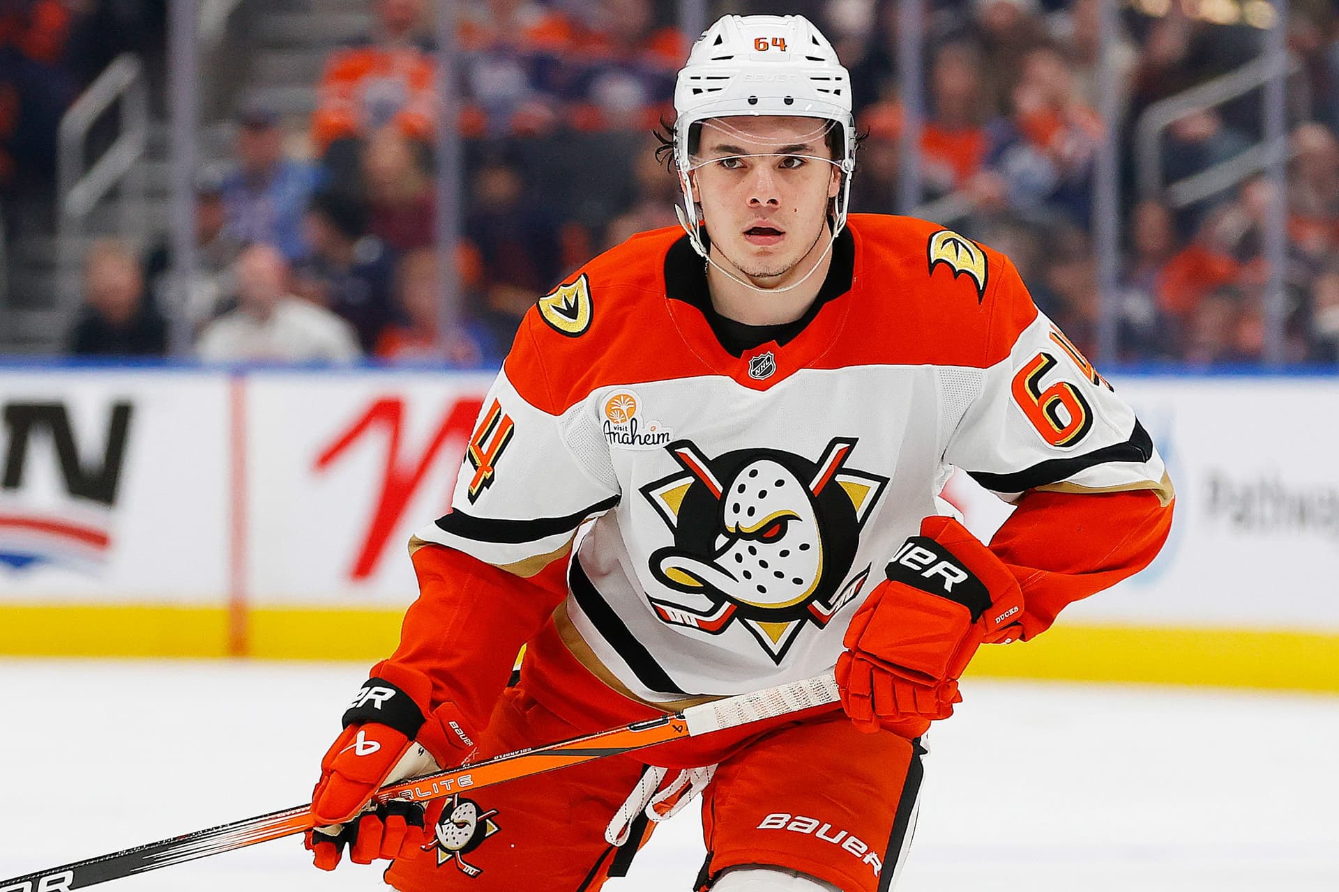 Tim Duck Ducks sign Sam Colangelo, Tim Washe to two-year contracts